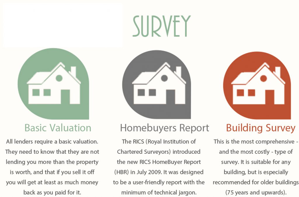 the-survey