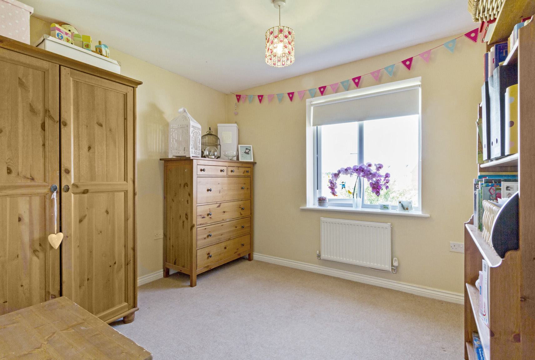 12 Tortoise Property Blog Estate Agents in Peterborough