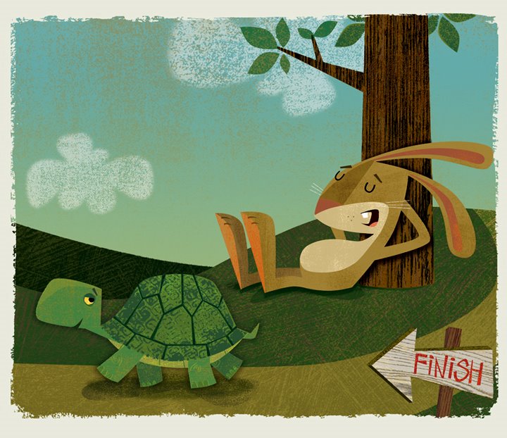 tortoise