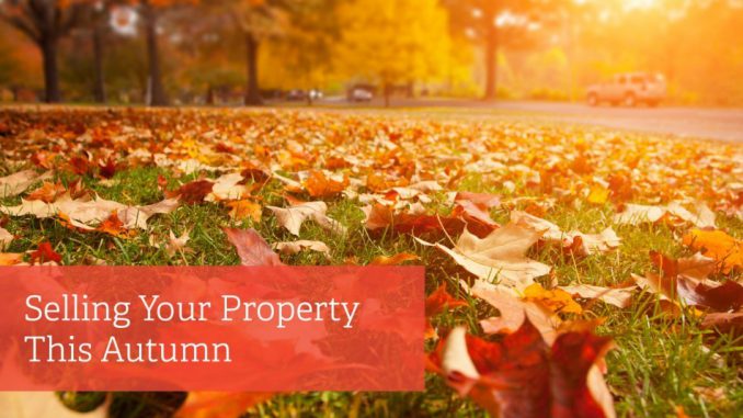 selling-in-autumn