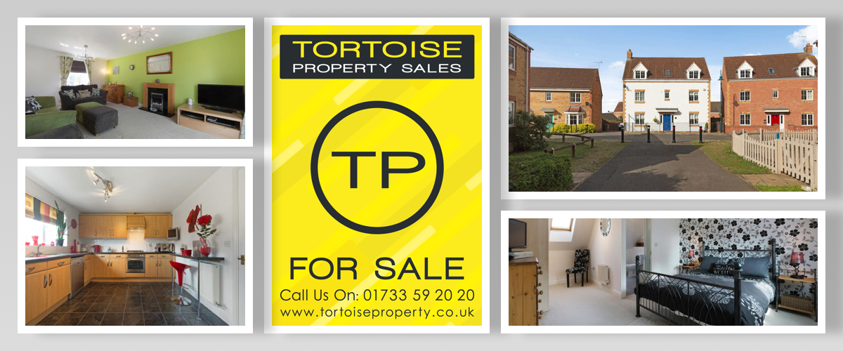 A picture is worth a thousand words Tortoise Property Blog Estate Agents in Peterborough