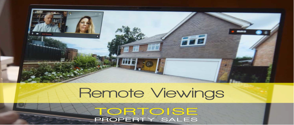 remote viewing wordpress